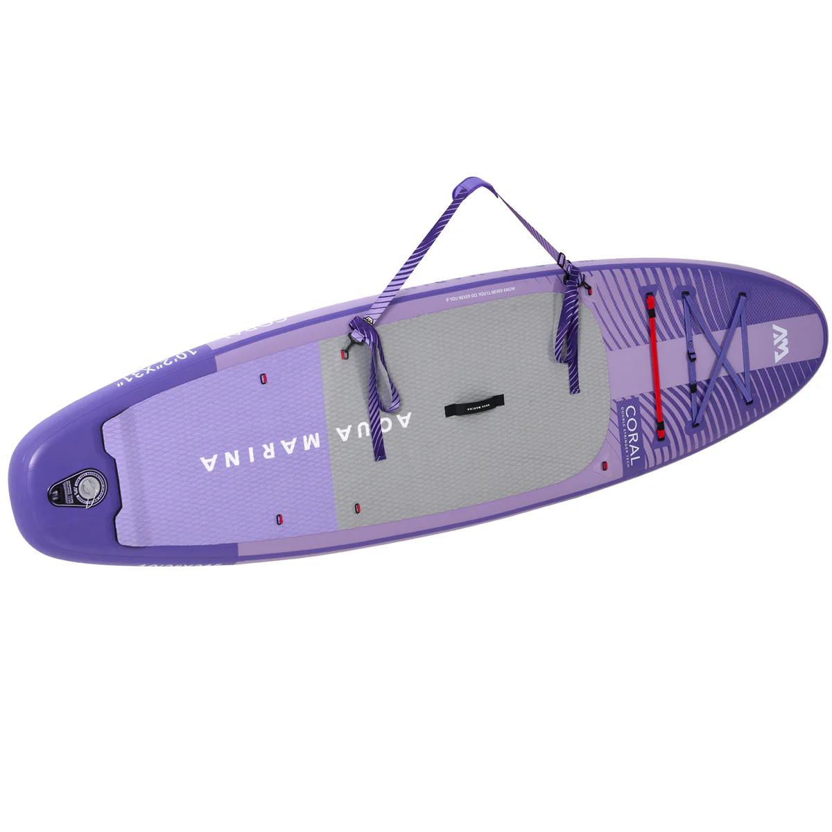 Aqua Marina Coral - Image 24